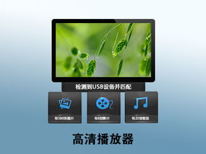网云传媒 云媒体2专区的创新引领者