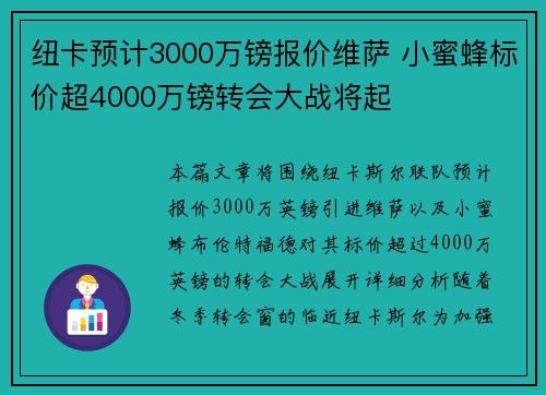 纽卡预计3000万镑报价维萨 小蜜蜂标价超4000万镑转会大战将起